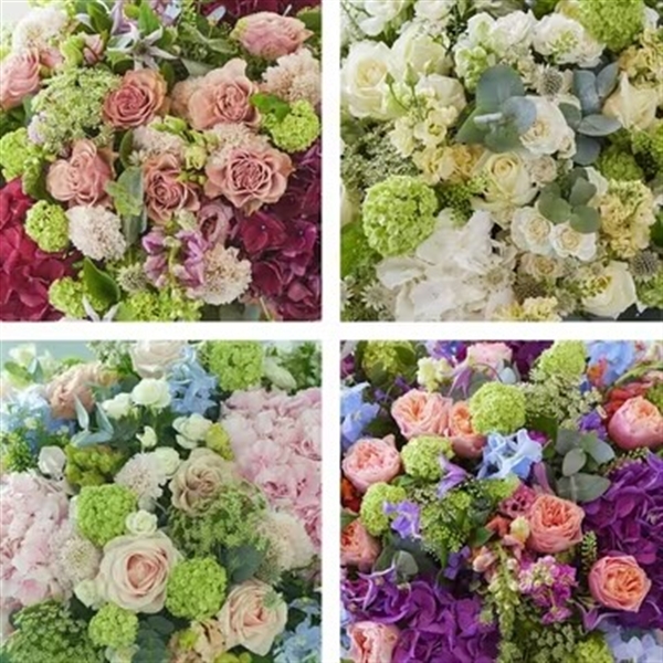 surprise me Luxuryy hand tied